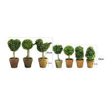 Load image into Gallery viewer, Artificial 1 Pc Heart Star Round Potted Decor Bonsai Ornament Home Garden Wedding Party Decor Home Decoration