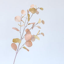 Load image into Gallery viewer, Artificial Eucalyptus Flower Plant Leaf Plastic Rod Long Branch Green Fake Plant Summer Autumn Home Bedroom Wall Decoration