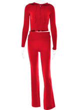 Load image into Gallery viewer, Hoodie Suit Women Leisure Sexy Zip Long Sleeve Sweater And High Waist Long Pants Set