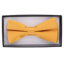 Load image into Gallery viewer, Vittorio Farina Classic Bow Tie