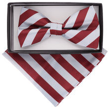 Load image into Gallery viewer, Vittorio Farina Striped Bow Tie & Pocket Square