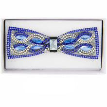 Load image into Gallery viewer, Vittorio Farina Jeweled Bow Tie