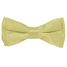 Load image into Gallery viewer, Vittorio Farina Boy's Solid Silky Bow Tie