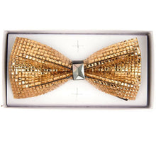 Load image into Gallery viewer, Vittorio Farina Crystal Bow Tie