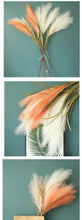 Load image into Gallery viewer, Bulrush Artificial Pampas Grass Phragmites 100cm Popular Natural Dried Small Pampas Grass For Wedding Flower Bunch Floor Vase Filler for Living Room Kitchen Decor