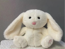 Load image into Gallery viewer, Soothing Plush Toy for kids - # BOT&G512610009