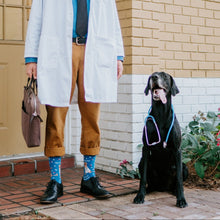 Load image into Gallery viewer, The Dogtor Is In