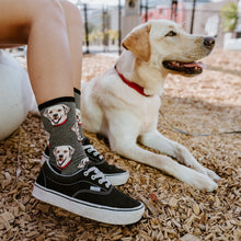 Load image into Gallery viewer, Labrador