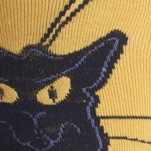 Load image into Gallery viewer, Chat Noir