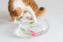 Load image into Gallery viewer, Cat Interactive Electric Fish Toy Water Cat Toy for Indoor Play Swimming Robot Fish Toy for Cat and Dog with LED Light Pet Toys New Bath Toys Interactive Plastic Fish Toys Electronic Cat Toy Gift to Stimulate Your Pet's Hunter Instincts