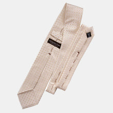 Load image into Gallery viewer, Barbera - Silk Jacquard Tie - Champagne