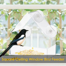 Load image into Gallery viewer, Clear View Suction Bird Feeder