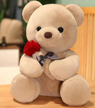 Load image into Gallery viewer, Mandotos Cuddly Rose Teddy Pillow With Red Rose Detail And Plush Bear Sizes 25 35 45 cm