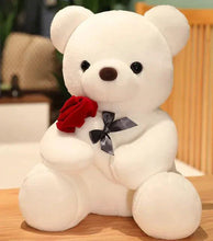 Load image into Gallery viewer, Mandotos Cuddly Rose Teddy Pillow With Red Rose Detail And Plush Bear Sizes 25 35 45 cm