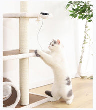 Load image into Gallery viewer, Electric Automatic Lifting Motion Cat Toy Puzzle Smart Pet Cat Teaser Ball Pet Supply Lifting Toys Toys Lifting Flutter Cat Exercise Toys