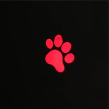 Load image into Gallery viewer, Funny Pet LED Laser Toy Cat Laser Toy Cat Pointer Light Pen Interactive Toy With Bright Animation Mouse Shadow Small Animal Toys Red Dot LED Light Pointer Interactive Toys for Indoor Cats Dogs Of Long Range