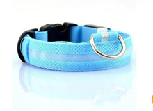 Load image into Gallery viewer, Glowing Night Safety Pet Collar