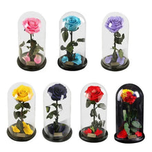 Load image into Gallery viewer, Handmade Preserved Enchanted Rose With Glass Dome on Wood Base - Rose for Christmas ,Valentine's Day