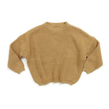 Load image into Gallery viewer, Baby Winter and Autumn Sweaters - # BOAA13510007