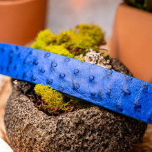 Load image into Gallery viewer, Domenico Belt Electric Blue
