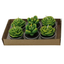 Load image into Gallery viewer, Mini Delicate Succulent Plants Candles Cactus Tea light Candles Handmade Delicate Succulent Cactus Candles Flameless Aromatherapy Candles For Birthday Party Wedding Spa Handmade Aromatherapy Candles For Birthday Party Wedding Home Decor Plant Candle