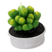 Load image into Gallery viewer, Mini Delicate Succulent Plants Candles Cactus Tea light Candles Handmade Delicate Succulent Cactus Candles Flameless Aromatherapy Candles For Birthday Party Wedding Spa Handmade Aromatherapy Candles For Birthday Party Wedding Home Decor Plant Candle