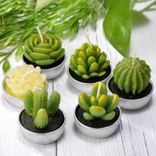 Load image into Gallery viewer, Mini Delicate Succulent Plants Candles Cactus Tea light Candles Handmade Delicate Succulent Cactus Candles Flameless Aromatherapy Candles For Birthday Party Wedding Spa Handmade Aromatherapy Candles For Birthday Party Wedding Home Decor Plant Candle