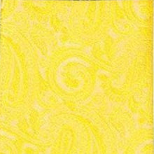 Load image into Gallery viewer, Vittorio Farina Paisley Designer Necktie & Pocket Square