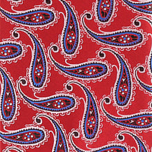Load image into Gallery viewer, Vittorio Farina Men's Paisley Design Necktie & Pocket Square