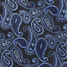 Load image into Gallery viewer, Vittorio Farina Paisley Designer Necktie & Pocket Square