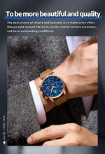 Load image into Gallery viewer, POEDAGAR Luxury Men's Chronograph Watch - Waterproof, Luminous, Leather Strap