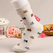 Load image into Gallery viewer, Autumn New Sock Animal Cartoon Cat Lovely Socks Combed Out Of Cotton Fashion Cute Short Socks Cat Print Stylish Color Cute Casual Socks For Men And Women