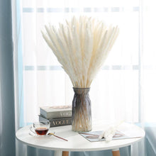Load image into Gallery viewer, 30pcs Natural Dried Pampas Grass Bouquet Pampas Grass Reeds Flowers Bulrush Bouquets Durable For for Vase Artificial Grass Room Décor Wedding Decorations