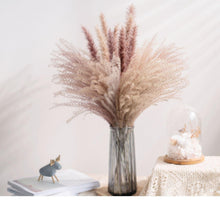Load image into Gallery viewer, 30pcs Natural Dried Pampas Grass Bouquet Pampas Grass Reeds Flowers Bulrush Bouquets Durable For for Vase Artificial Grass Room Décor Wedding Decorations