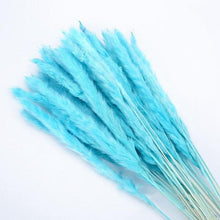 Load image into Gallery viewer, 30pcs Natural Dried Pampas Grass Bouquet Pampas Grass Reeds Flowers Bulrush Bouquets Durable For for Vase Artificial Grass Room Décor Wedding Decorations