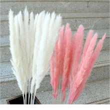 Load image into Gallery viewer, 30pcs Natural Dried Pampas Grass Bouquet Pampas Grass Reeds Flowers Bulrush Bouquets Durable For for Vase Artificial Grass Room Décor Wedding Decorations