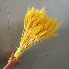 Load image into Gallery viewer, 30pcs Natural Dried Pampas Grass Bouquet Pampas Grass Reeds Flowers Bulrush Bouquets Durable For for Vase Artificial Grass Room Décor Wedding Decorations
