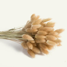 Load image into Gallery viewer, 30pcs Natural Dried Pampas Grass Bouquet Pampas Grass Reeds Flowers Bulrush Bouquets Durable For for Vase Artificial Grass Room Décor Wedding Decorations