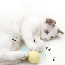 Load image into Gallery viewer, Smart Cat Toys Ball Catnip Cat Training Toy Pet Playing Ball Pet Products Toy for Cats Interactive Chirping Balls Cat Kicker Toys Fun Catnip Toys for Cat Exercise