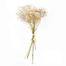 Load image into Gallery viewer, Natural Gypsophila Dried Flowers Mini Babysbreath Flower Preserve Floral Decor Bouquet Wedding Party Home Backdrop Decor 12cm