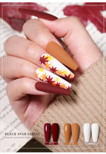 Load image into Gallery viewer, Luxury Modern New Popular Womens Gel Nail Polish Permanent Varnish 10ml Elegant Fashion Design Nail Polish For Women and Girls