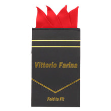 Load image into Gallery viewer, Vittorio Farina Pre-Folded Pocket Square (Four-Point)