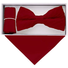 Load image into Gallery viewer, Vittorio Farina Pleated Bow Tie & Pocket Square