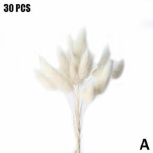 Load image into Gallery viewer, Real Dried Grass Reed Flower Natural Dry Small Bulrush Bouquet Pampas Reeds Home Decoration Wedding Decor Pompass Grass Branches for Vase Artificial Grass Room Décor Wedding Decorations