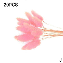Load image into Gallery viewer, Real Dried Grass Reed Flower Natural Dry Small Bulrush Bouquet Pampas Reeds Home Decoration Wedding Decor Pompass Grass Branches for Vase Artificial Grass Room Décor Wedding Decorations