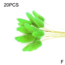 Load image into Gallery viewer, Real Dried Grass Reed Flower Natural Dry Small Bulrush Bouquet Pampas Reeds Home Decoration Wedding Decor Pompass Grass Branches for Vase Artificial Grass Room Décor Wedding Decorations