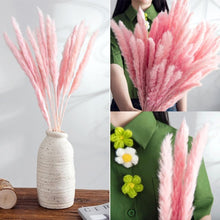 Load image into Gallery viewer, Real Dried Grass Reed Flower Natural Dry Small Bulrush Bouquet Pampas Reeds Home Decoration Wedding Decor Pompass Grass Branches for Vase Artificial Grass Room Décor Wedding Decorations