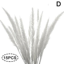 Load image into Gallery viewer, Real Dried Grass Reed Flower Natural Dry Small Bulrush Bouquet Pampas Reeds Home Decoration Wedding Decor Pompass Grass Branches for Vase Artificial Grass Room Décor Wedding Decorations