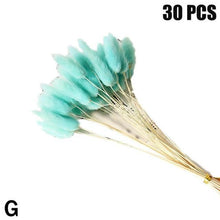 Load image into Gallery viewer, Real Dried Grass Reed Flower Natural Dry Small Bulrush Bouquet Pampas Reeds Home Decoration Wedding Decor Pompass Grass Branches for Vase Artificial Grass Room Décor Wedding Decorations