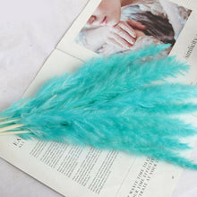 Load image into Gallery viewer, Real Dried Grass Reed Flower Natural Dry Small Bulrush Bouquet Pampas Reeds Home Decoration Wedding Decor Pompass Grass Branches for Vase Artificial Grass Room Décor Wedding Decorations